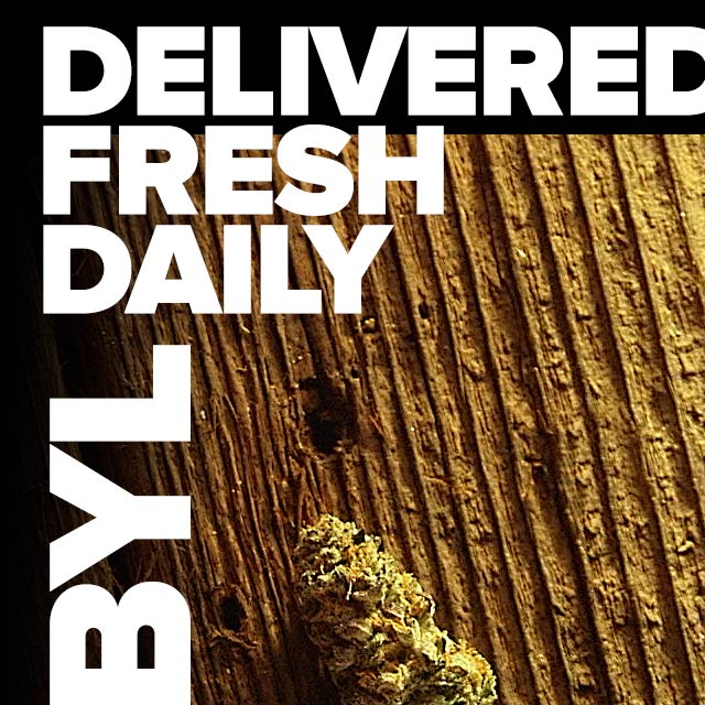 Print design for in-store promotional banner displays for OG Collective. Cuffe Sohn Design Salem Oregon.