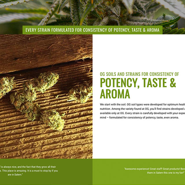 E-commerce website design for OG Collective. Cuffe Sohn Design Salem, OR