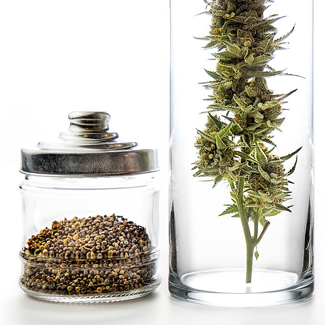 Cuffe Sohn Design product photography, OG Collective Salem OR