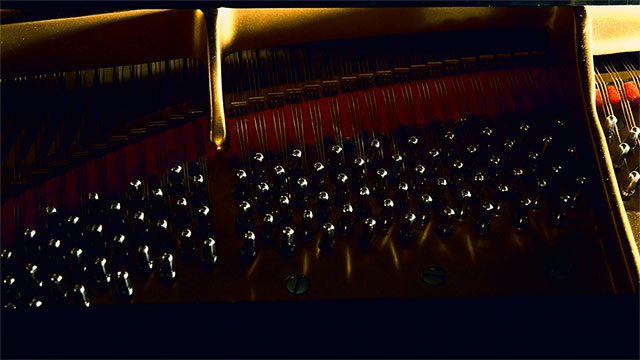 Photographers in Salem, Oregon. Brand photography for Oregon client, COPI Steinway Piano Concert Series. Cuffe Sohn Design