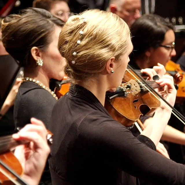 Website design, branding, online marketing, project for Salem, Oregon client. Cuffe Sohn Design Salem Oregon. 